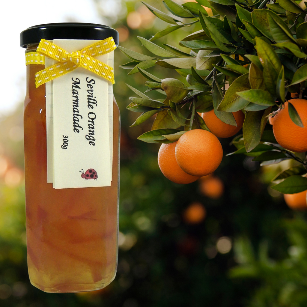 Ladybug Preserves Seville Orange Marmalade 300g